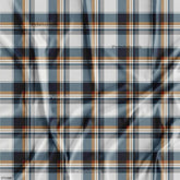 Wholesale Checks Printed Fabric in Surat